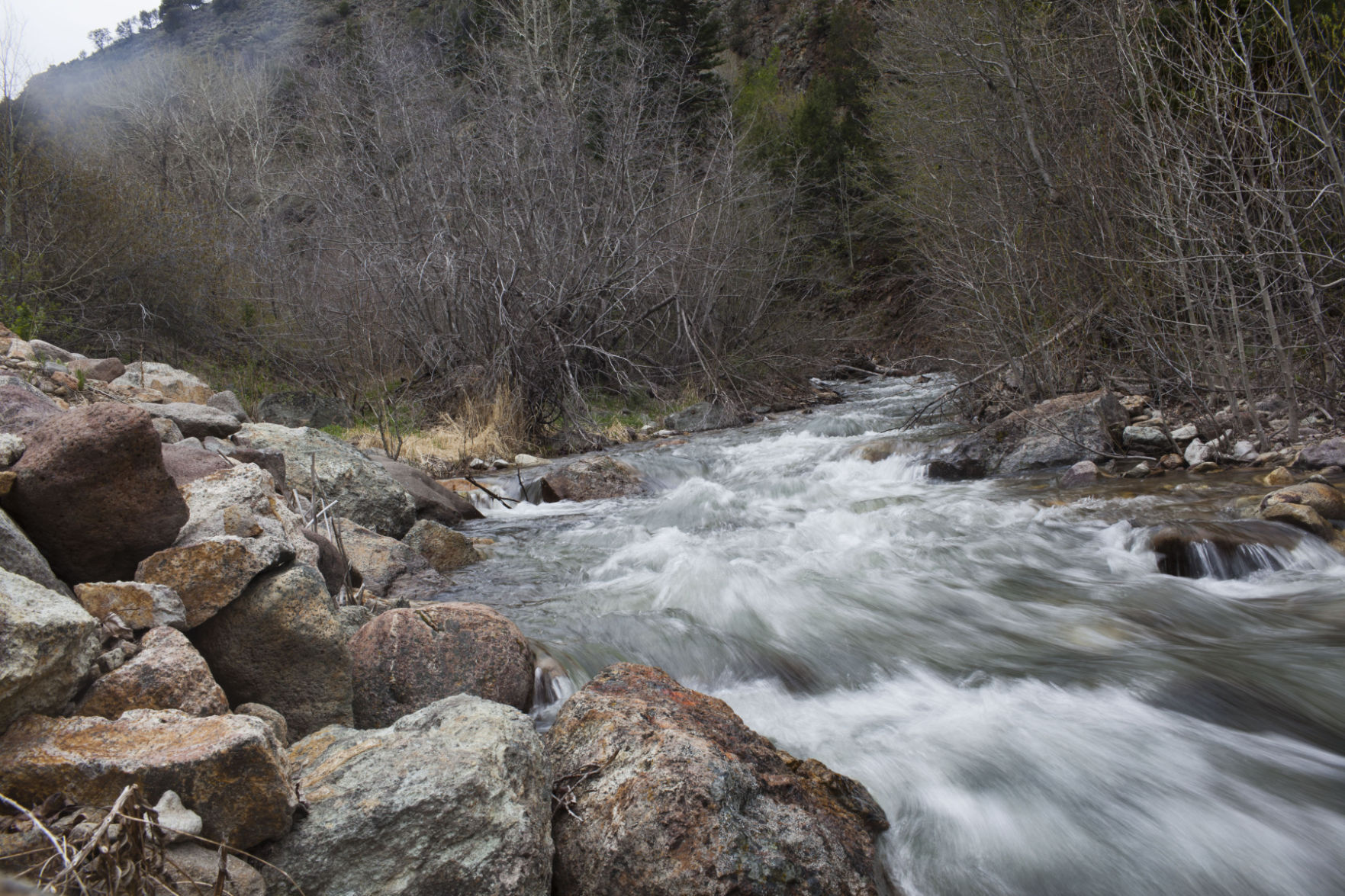 Jarbidge gold exploration